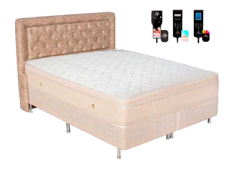 [id: 02] Queen Colony Bege