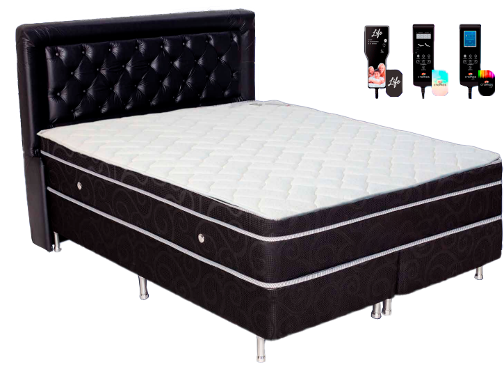 [id: 04] Queen Colony Preto